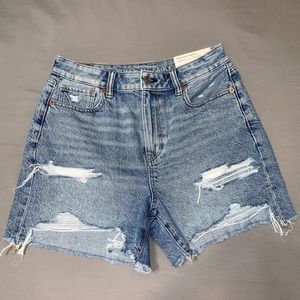 American Eagle Denim Baggy Mom Shorts